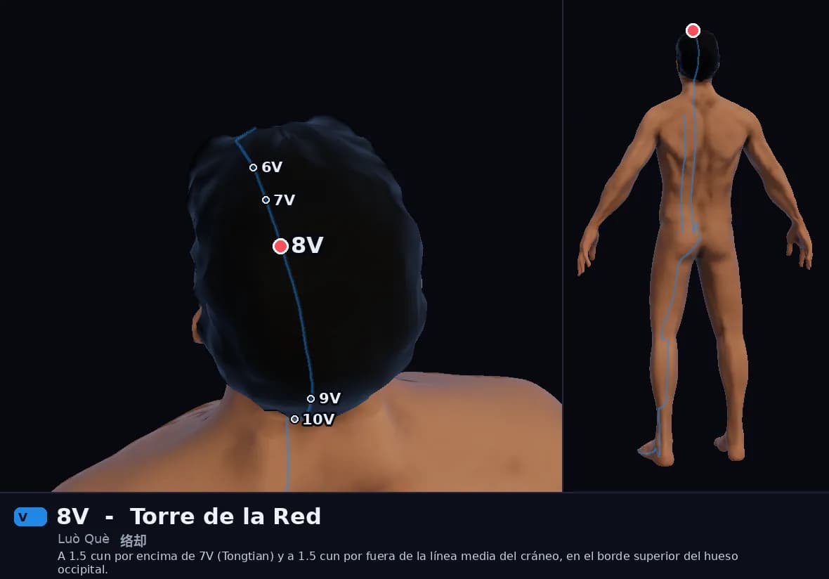 Localización del punto 8V, Torre de la Red