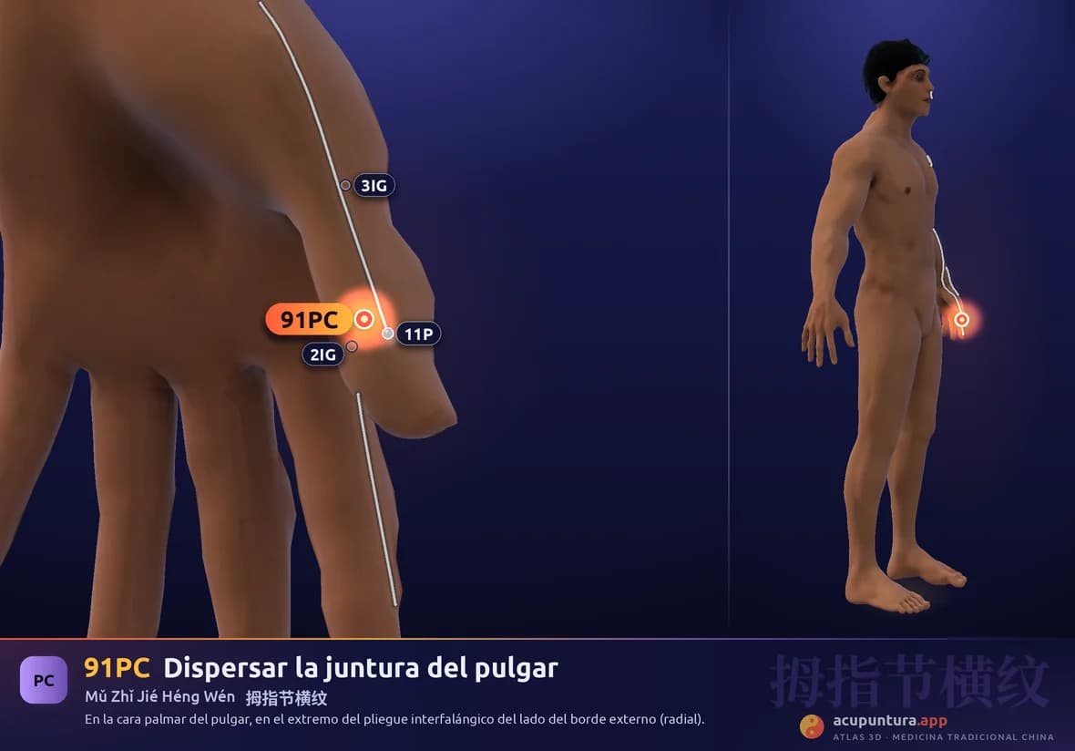 Localización del punto 91PC, Dispersar la juntura del pulgar