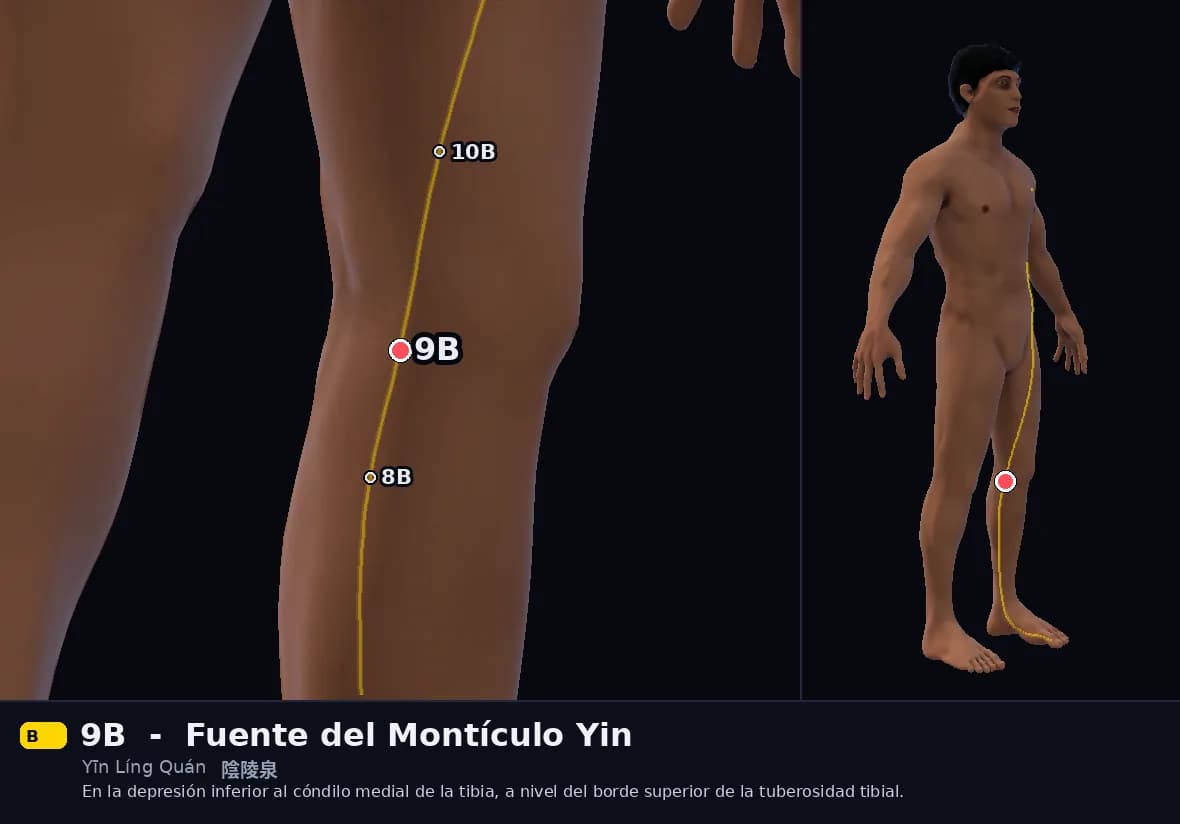Localización del punto 9B, Fuente del Montículo Yin