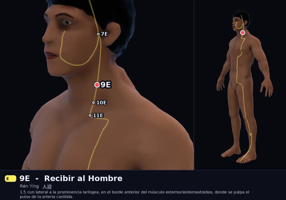 Localización del punto 9E, Recibir al Hombre