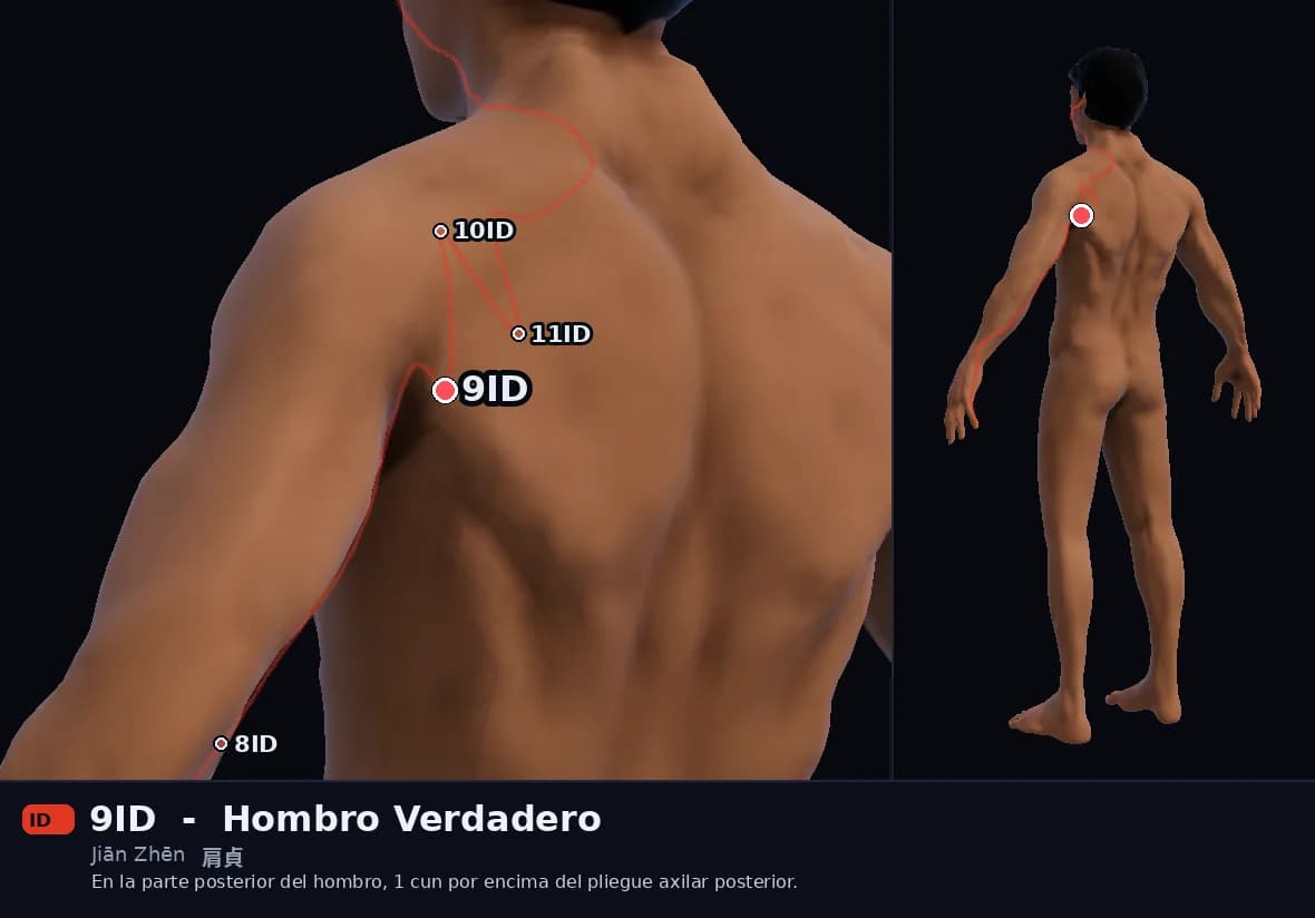 Localización del punto 9ID, Hombro Verdadero