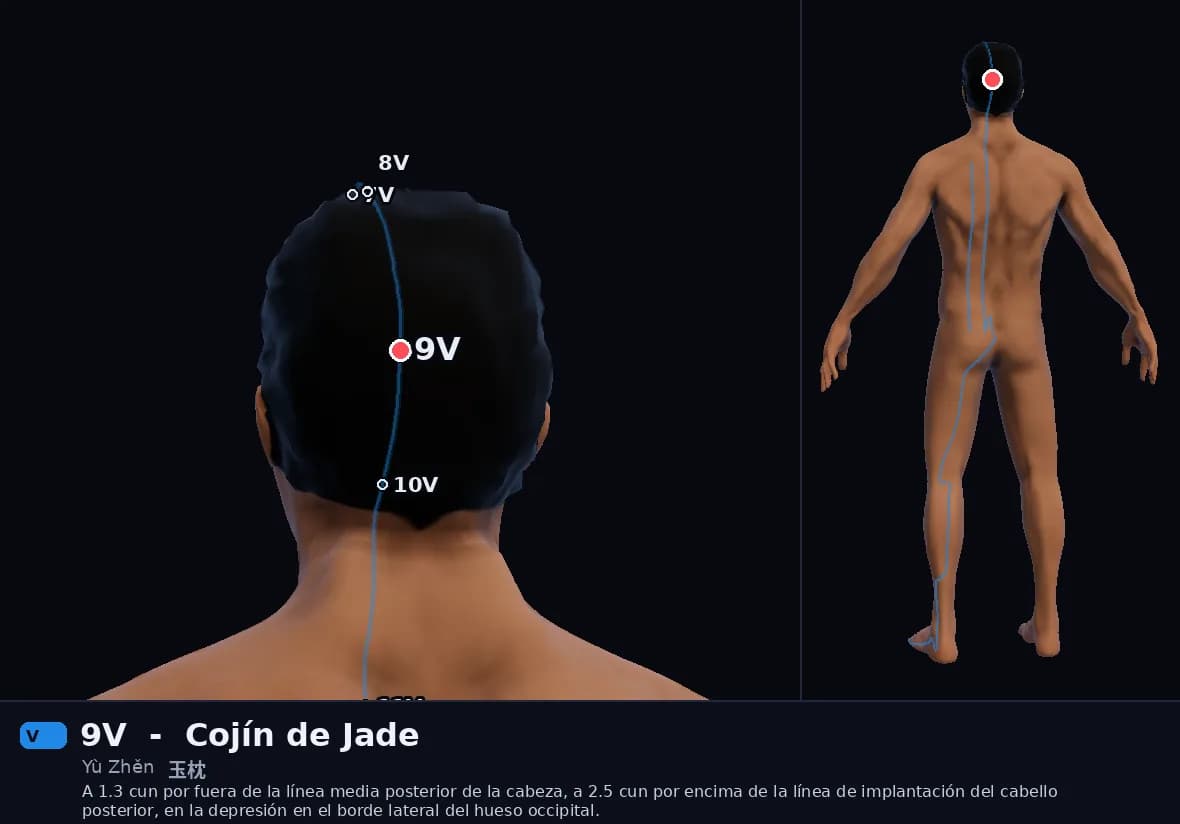 Localización del punto 9V, Cojín de Jade