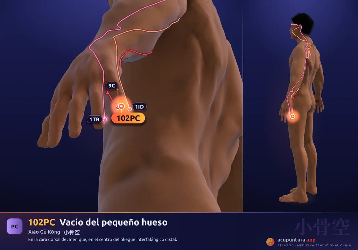 Localización del punto 102PC, Vacío del pequeño hueso