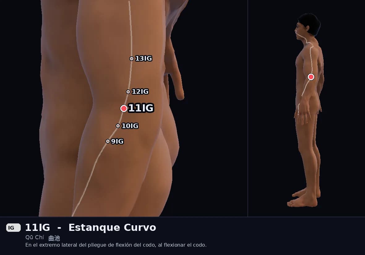 Localización del punto 11IG, Estanque Curvo