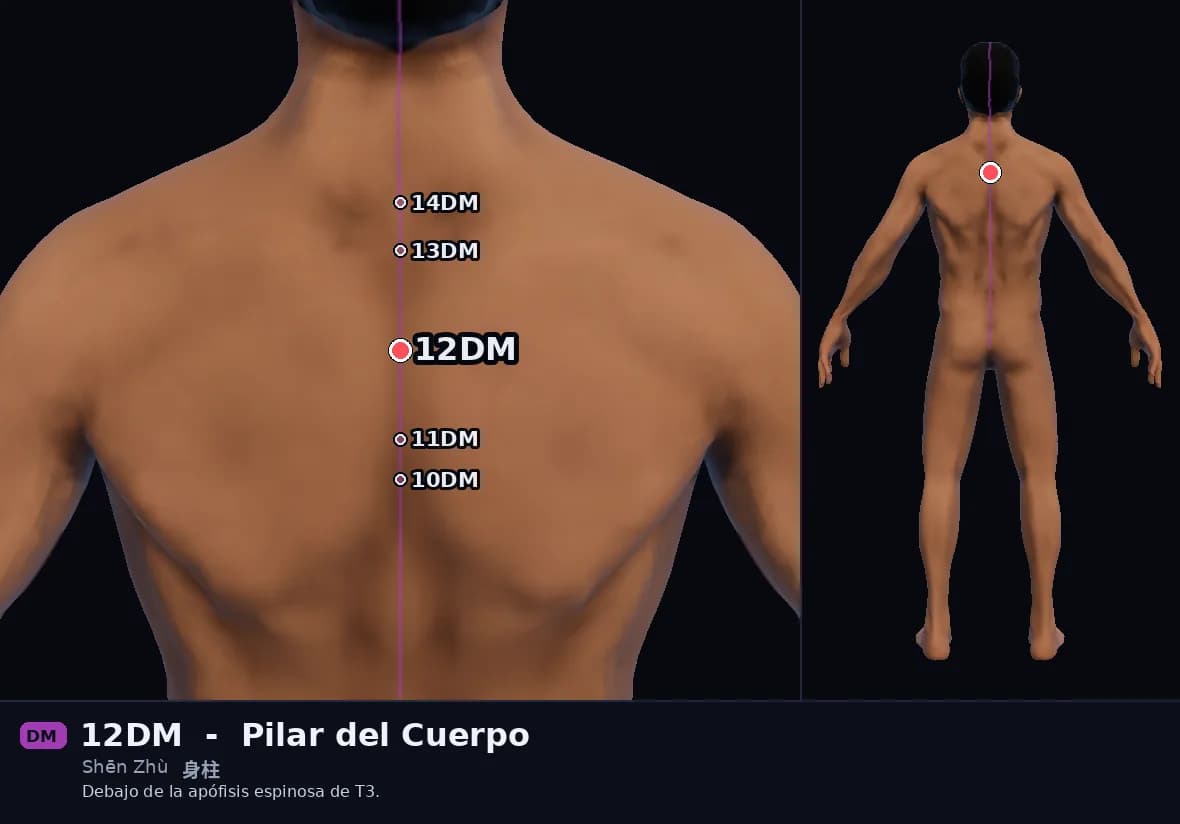 Localización del punto 12DM, Pilar del Cuerpo
