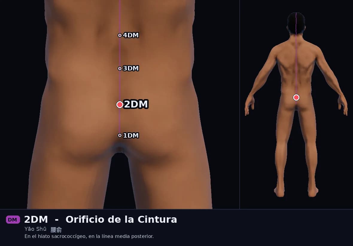 Localización del punto 2DM, Orificio de la Cintura