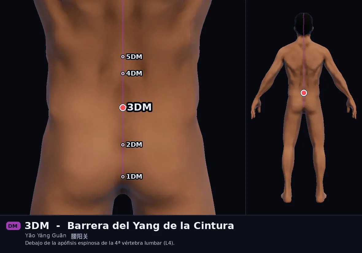 Localización del punto 3DM, Barrera del Yang de la Cintura