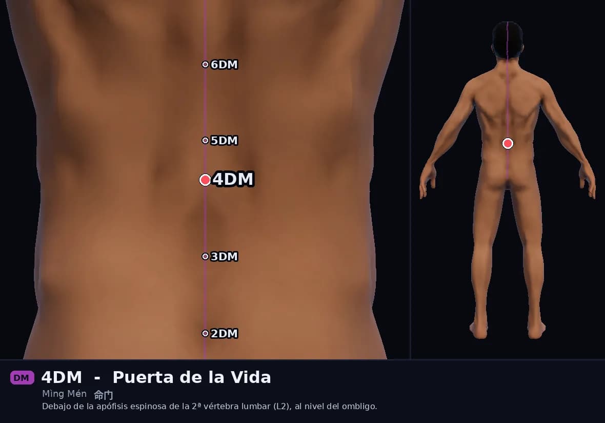 Localización del punto 4DM, Puerta de la Vida